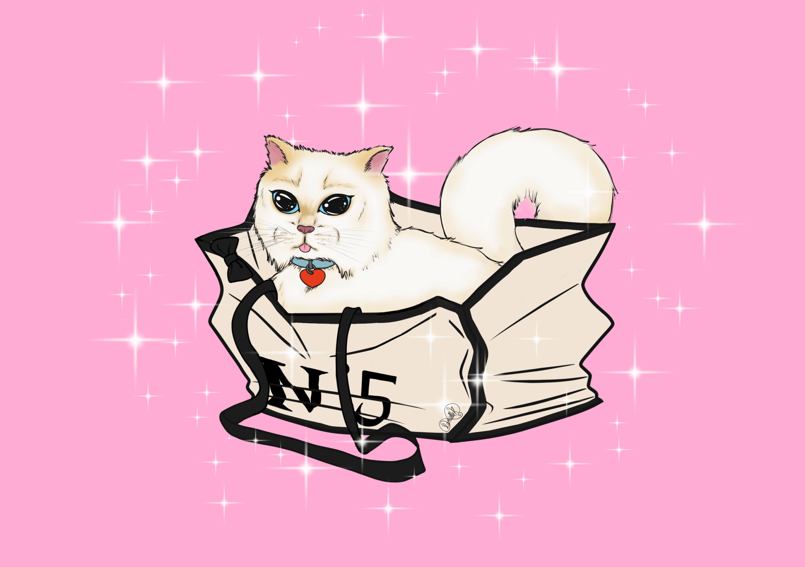 chanel regalo xime fondo